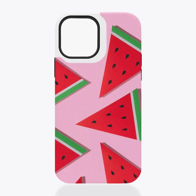 iPhone MagCase